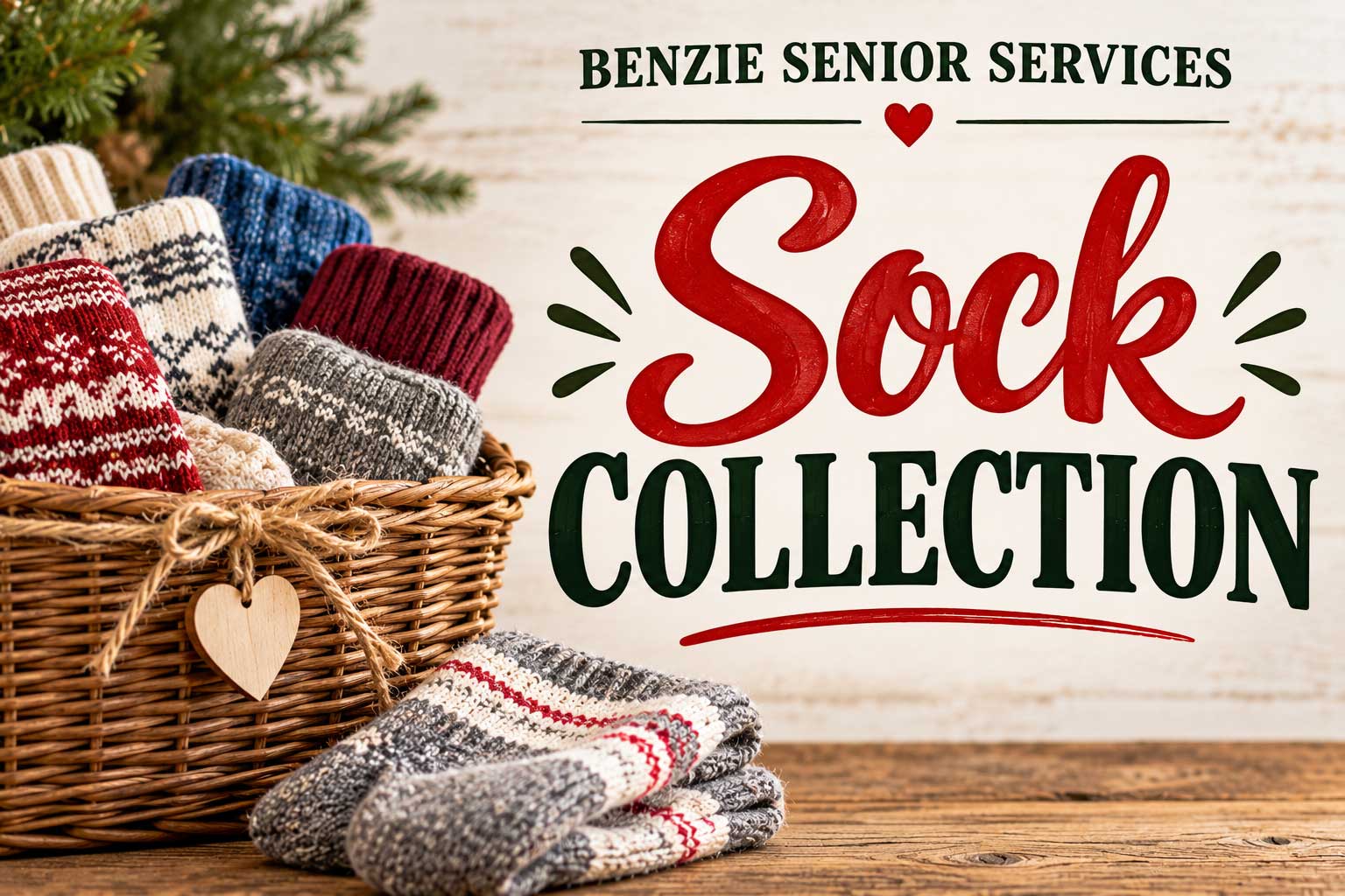 Benzie Senior Services Sock Collection